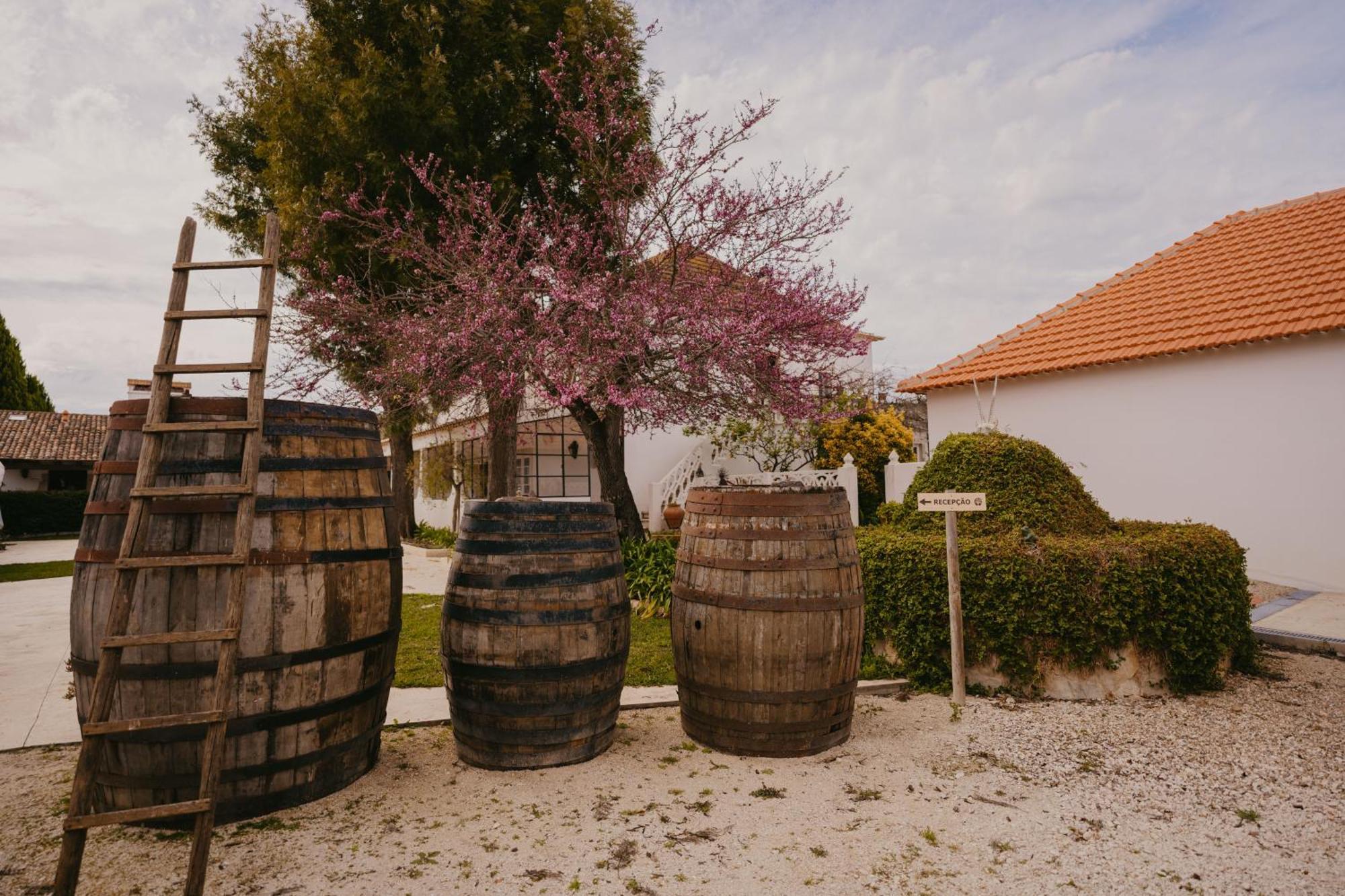 Quinta Carvalhas - The Green Farm Hotel Casevel Exterior photo