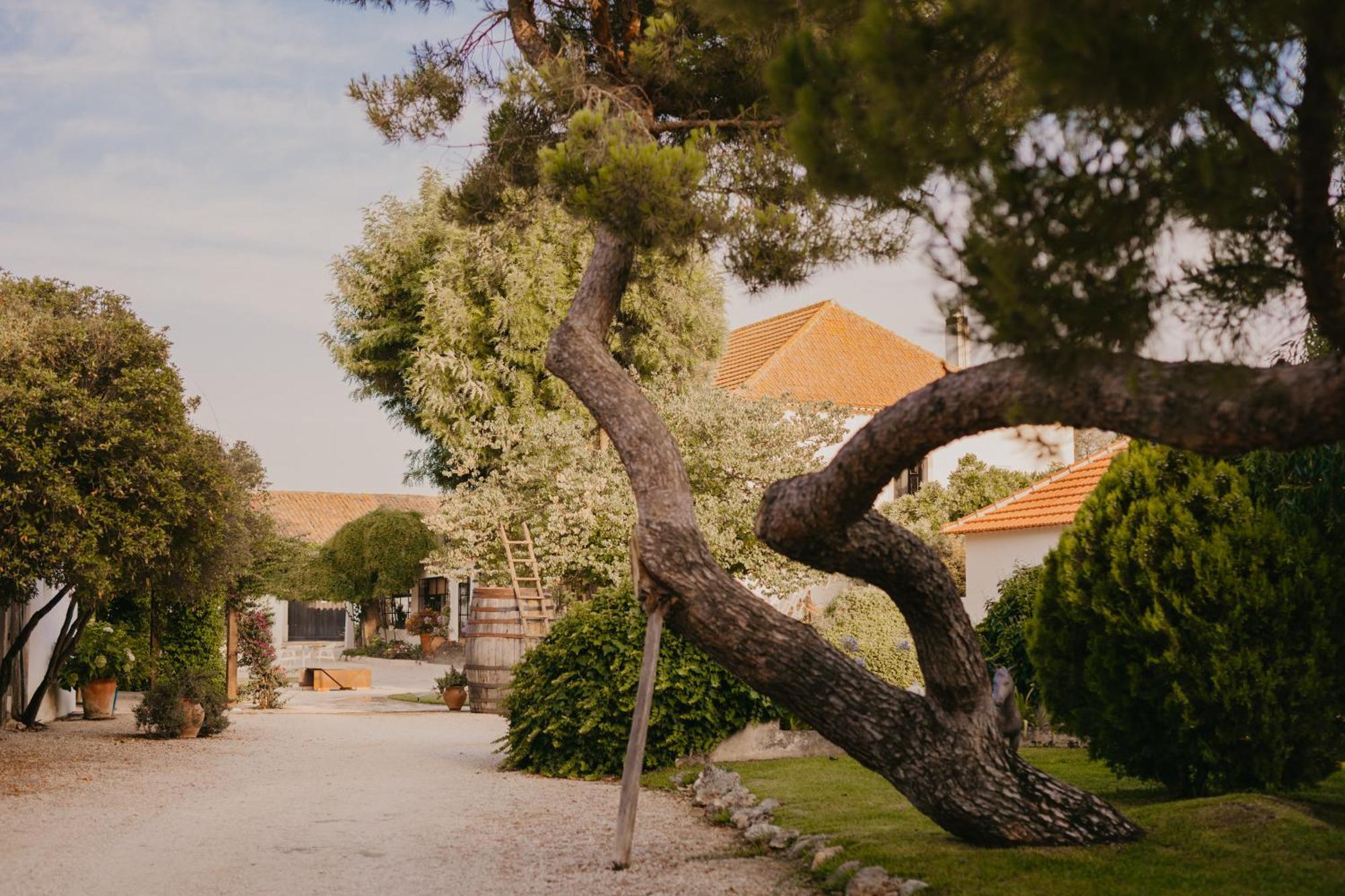 Quinta Carvalhas - The Green Farm Hotel Casevel Exterior photo
